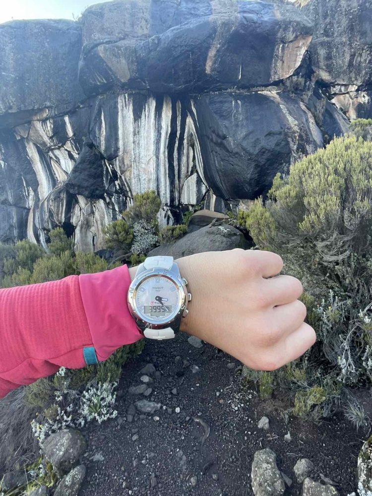 Аклиматизација до  3.995m дот Zebra rock