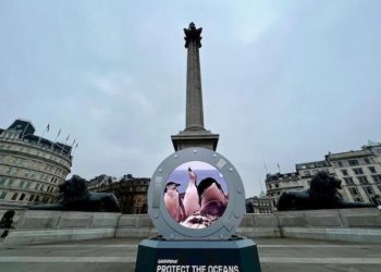 A portal shows footage during a broadcast from the Antarctic to London’s Trafalgar Square.

The structure (4m tall and weighing almost 4 tonnes) is broadcasting from the Antarctic Peninsula, where a Greenpeace International expedition last week discovered a new penguin colony, offering people the unique opportunity to see face-to-face the beauty and wonder of this fragile region. The initiative, run by Greenpeace UK, is part of Greenpeace’s Protect the Oceans campaign which is calling for ocean protection in the Antarctic and beyond through a Global Ocean Treaty which could be agreed at the UN in March.